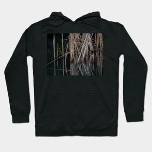 Reflection Hoodie